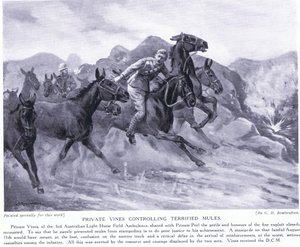 Private Vines awarded the DCM for controlling terrified mules August 1915 by George Derville Rowlandson